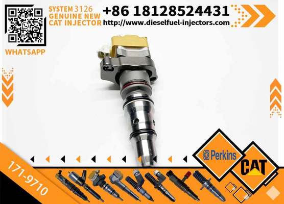 Specialized in Manufacturing High-quality Engine Diesel Fuel Injectors 10R-9239 10R-1306 171-9710 1833640C1 for CAT 3126 Engine