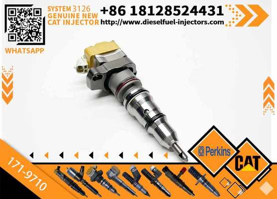 Specialized in Manufacturing High-quality Engine Diesel Fuel Injectors 10R-9239 10R-1306 171-9710 1833640C1 for CAT 3126 Engine