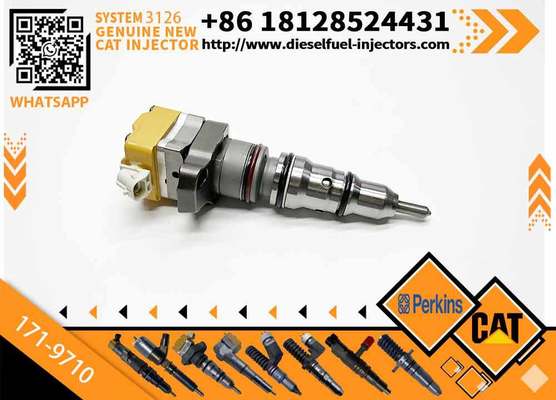 Specialized in Manufacturing High-quality Engine Diesel Fuel Injectors 10R-9239 10R-1306 171-9710 1833640C1 for CAT 3126 Engine