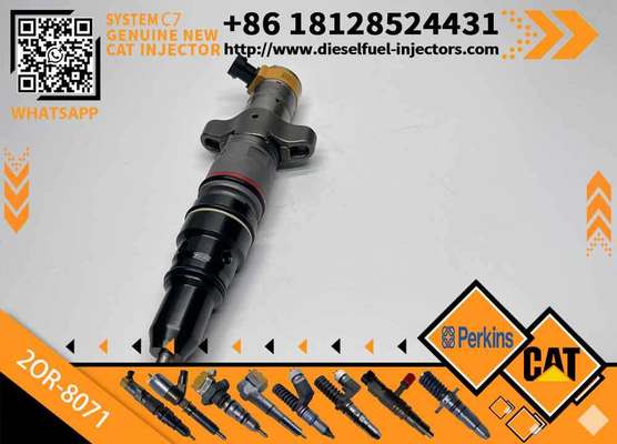 Diesel Engine Injector20R-8067 557-7627 243-4503 20R-9079 2OR-8071 328-2582 295-9166For Caterpillar C7 Common Rail